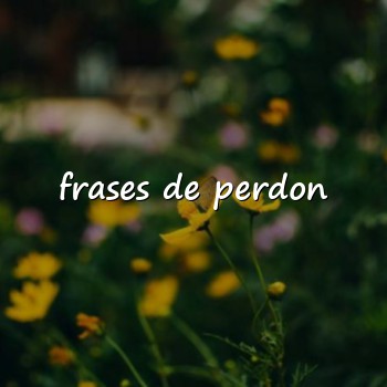 frases de perdon - 2026