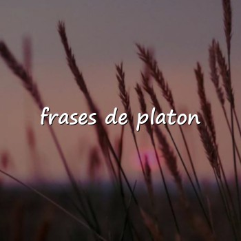 frases de platon - 2026