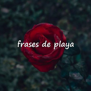 frases de playa - 2026