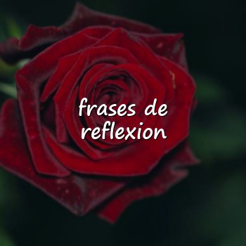 frases de reflexion - 2026