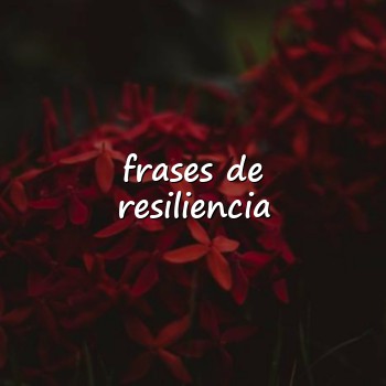 frases de resiliencia - 2026