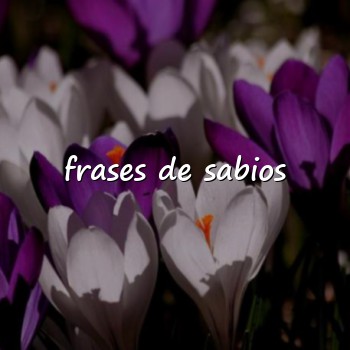 frases de sabios - 2026