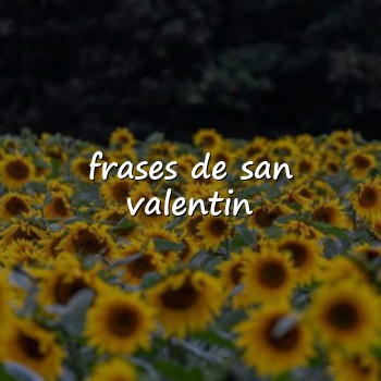 frases de san valentin - 2026