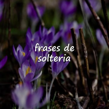 frases de solteria - 2026