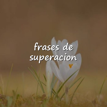frases de superacion - 2026