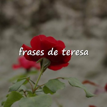 frases de teresa - 2026