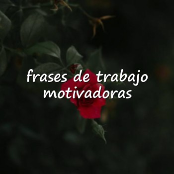 frases de trabajo motivadoras - 2026