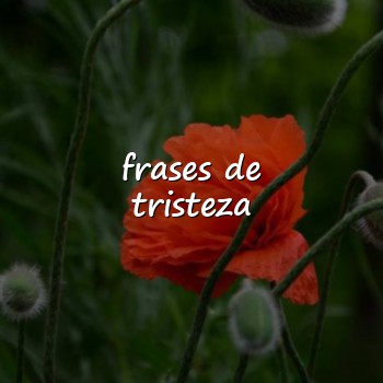 frases de tristeza - 2026