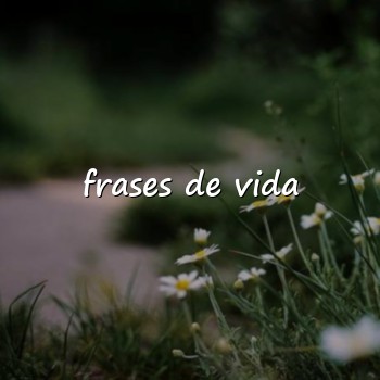 frases de vida - 2026