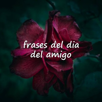 frases del dia del amigo - 2026