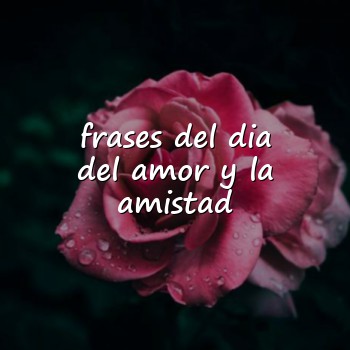 frases del dia del amor y la amistad - 2026