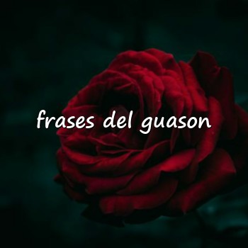 frases del guason - 2026