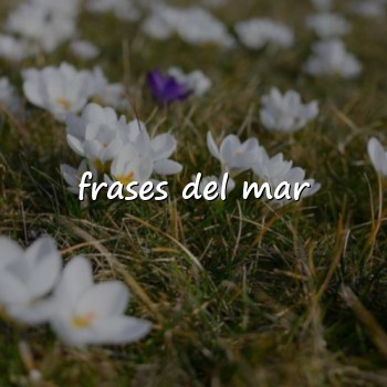 frases del mar - 2026