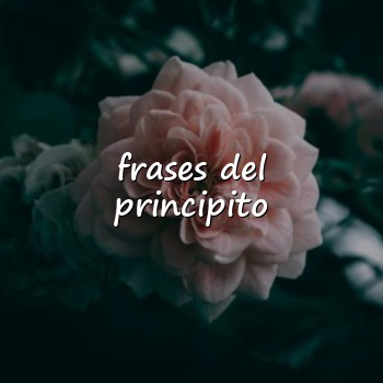 frases del principito - 2026