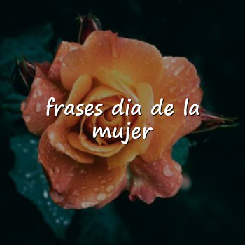 frases dia de la mujer - 2026