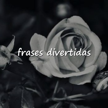 frases divertidas - 2026