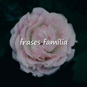 frases familia - 2026