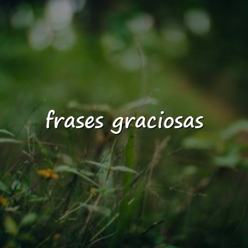 frases graciosas - 2026