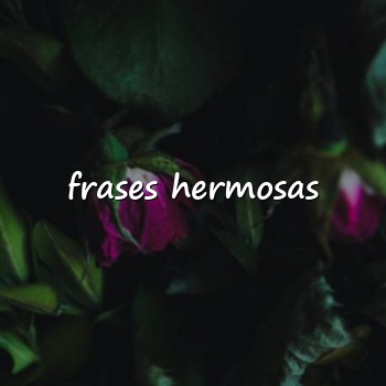 frases hermosas - 2026
