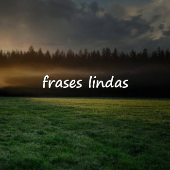 frases lindas - 2026