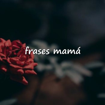 frases mamá - 2026