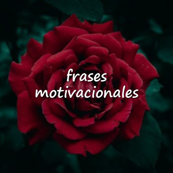 frases motivacionales - 2026