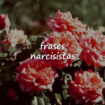 frases narcisistas - 2026