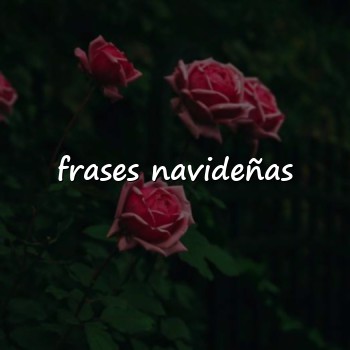frases navideñas - 2026