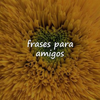 frases para amigos - 2026