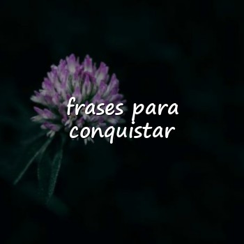 frases para conquistar - 2026
