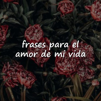 frases para el amor de mi vida - 2026