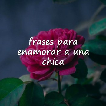 frases para enamorar a una chica - 2026