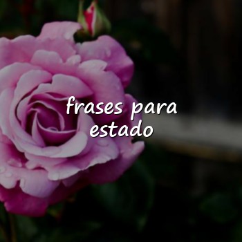 frases para estado - 2026