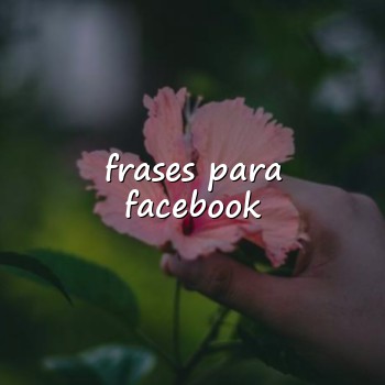 frases para facebook - 2026