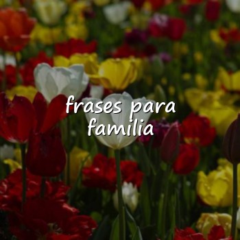 frases para familia - 2026