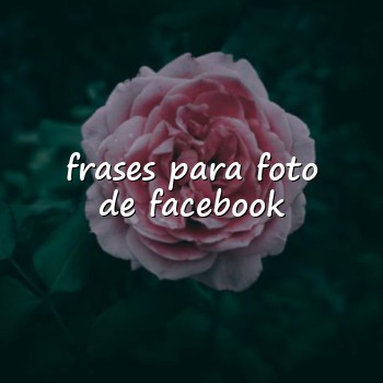 frases para foto de facebook - 2026