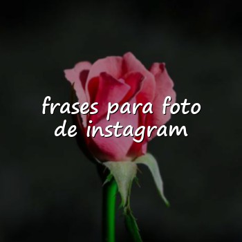 frases para foto de instagram - 2026