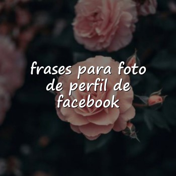 frases para foto de perfil de facebook - 2026
