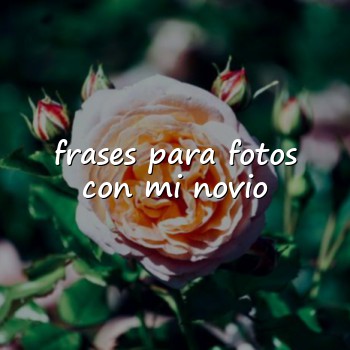 frases para fotos con mi novio - 2026