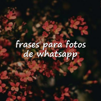 frases para fotos de whatsapp - 2026