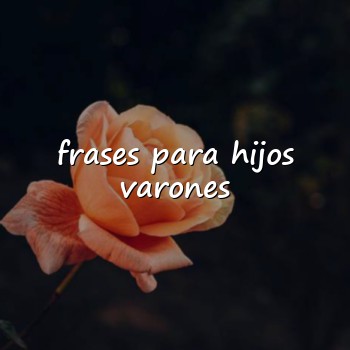frases para hijos varones - 2026