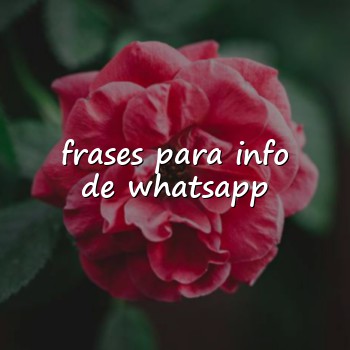 frases para info de whatsapp - 2026