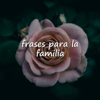 frases para la familia - 2026