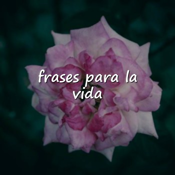 frases para la vida - 2026