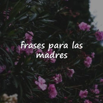 frases para las madres - 2026
