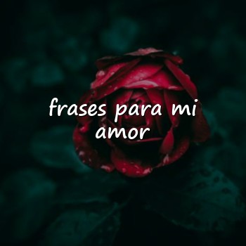 frases para mi amor - 2026