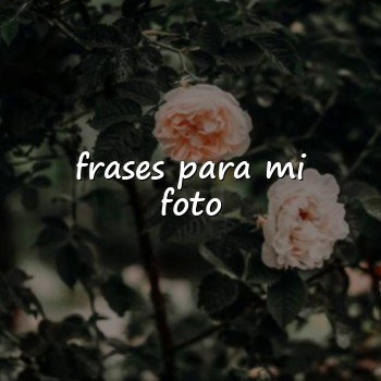 frases para mi foto - 2026