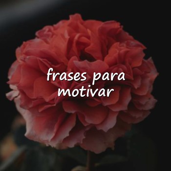 frases para motivar - 2026