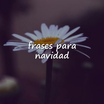 frases para navidad - 2026