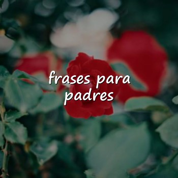 frases para padres - 2026